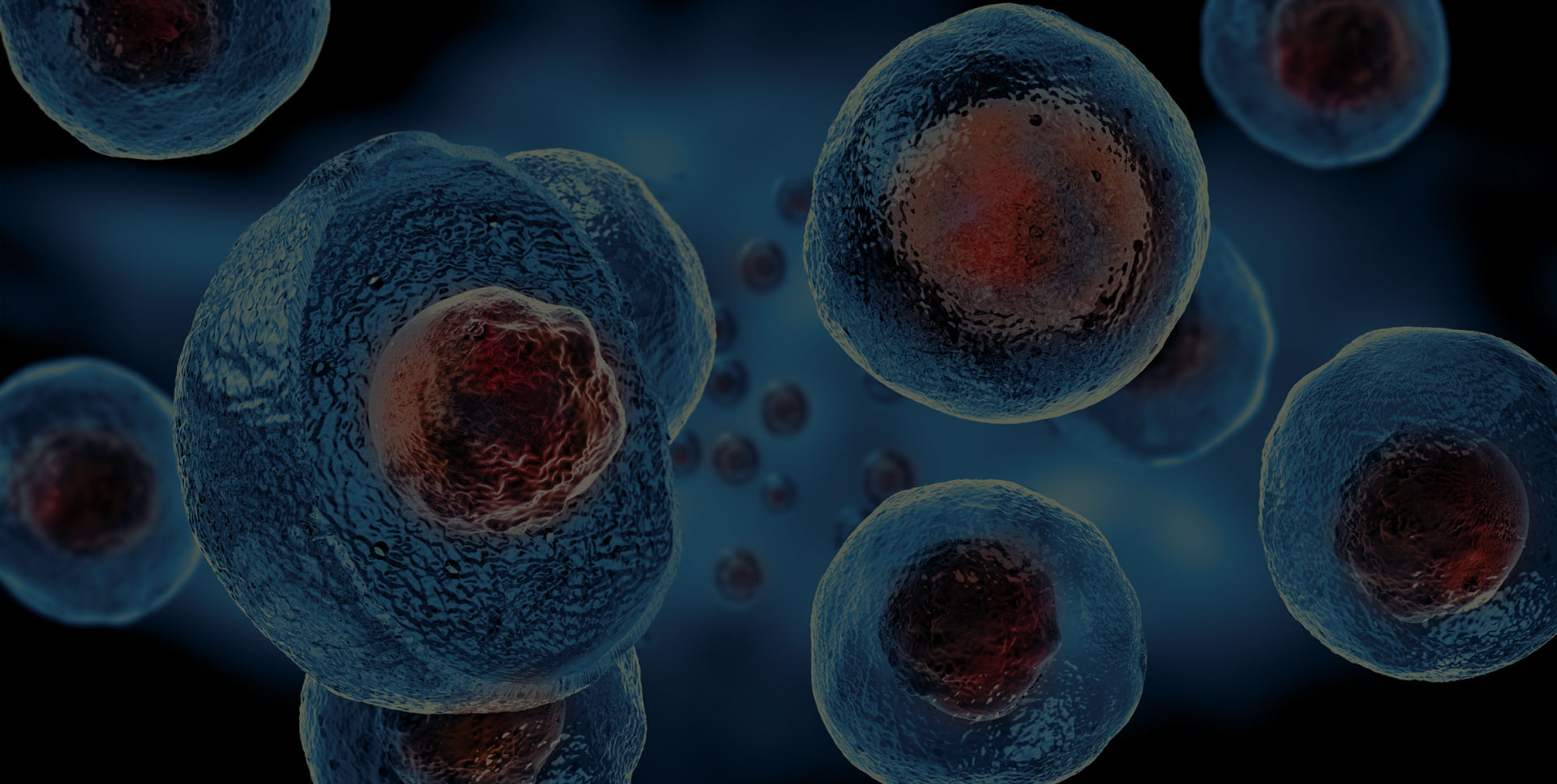 Cell sciences graphic